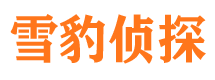 宣武市私家侦探